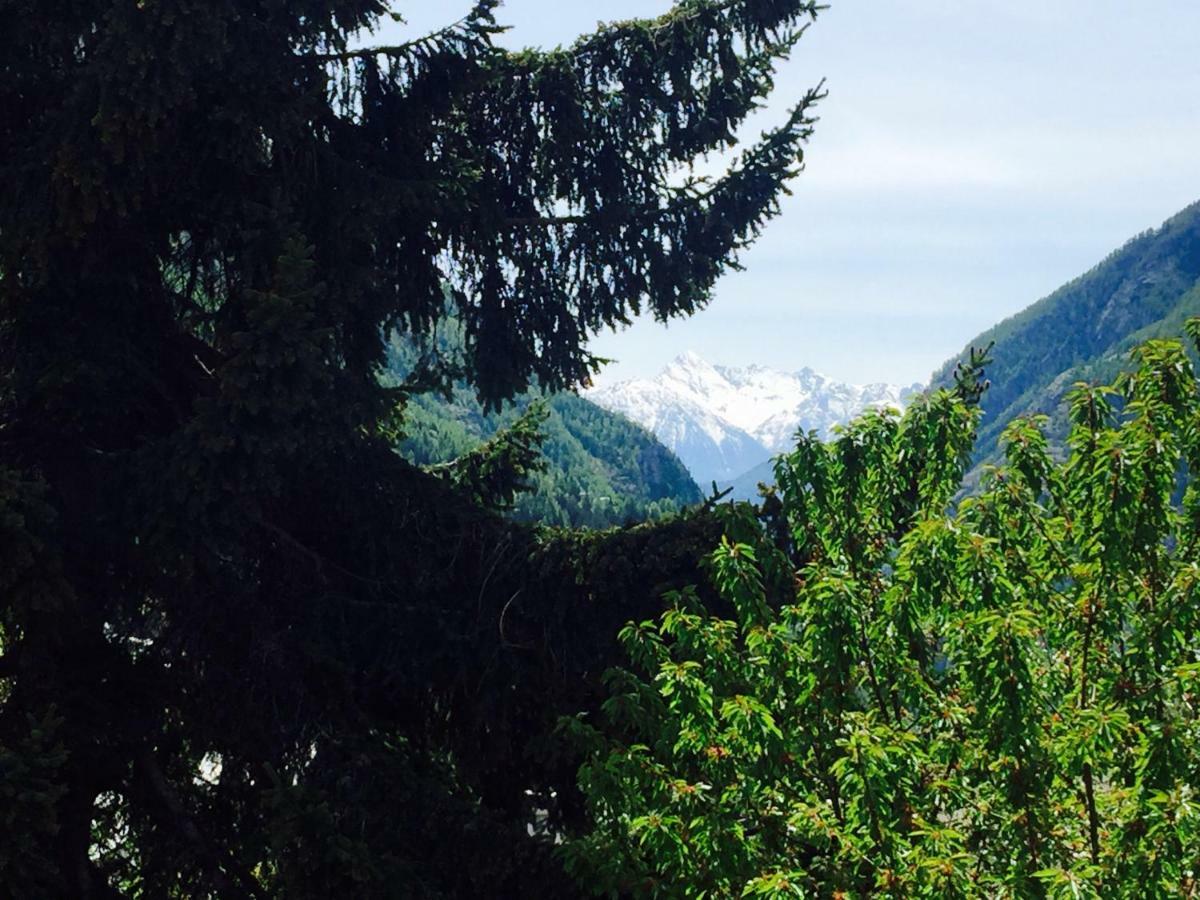 Appartamento Cretaz Valtournenche Exteriér fotografie